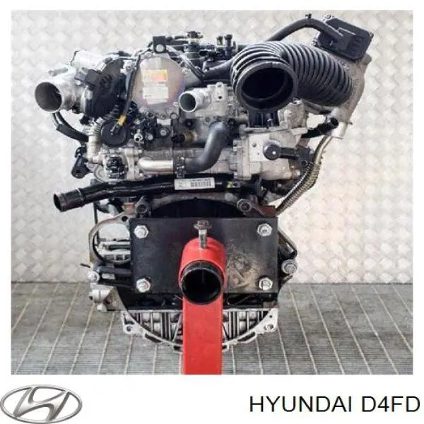 D4FD HYUNDAI Motor completo original y equivalente
