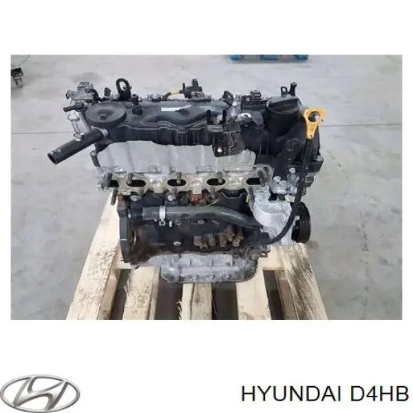 Compre D4HB Hyundai/Kia Motor montado