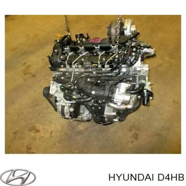 Motor montado D4HB Hyundai/Kia