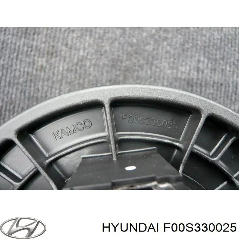 F00S330025 Hyundai/Kia 