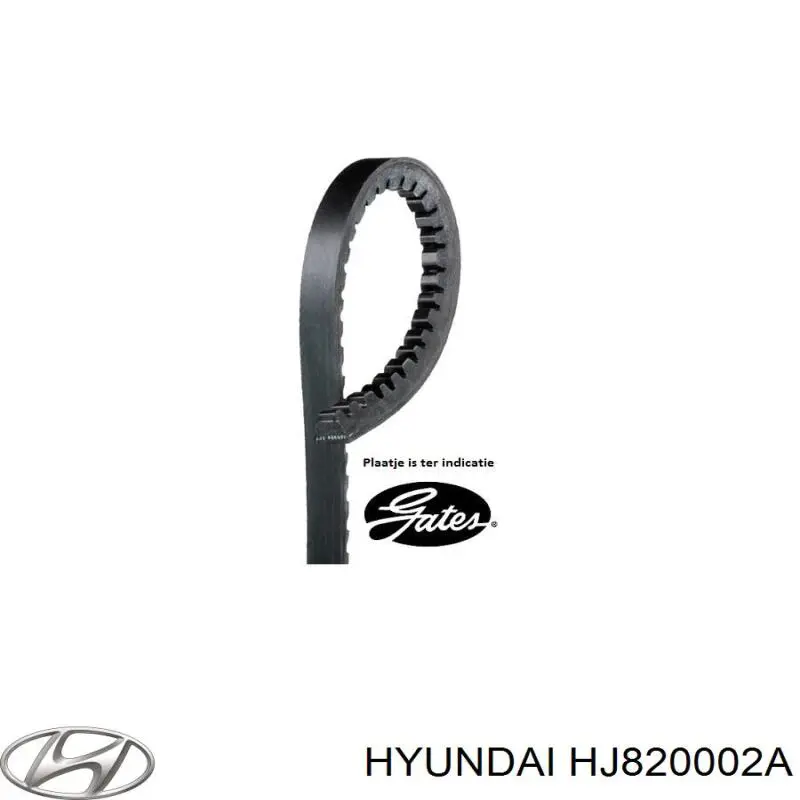 Купить HJ820002A Hyundai/Kia Ремень генератора