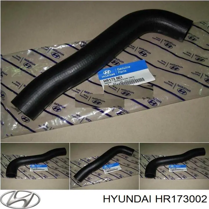 Шланг радиатора, нижний Hyundai/Kia HR173002 цена, от 6.84 USD