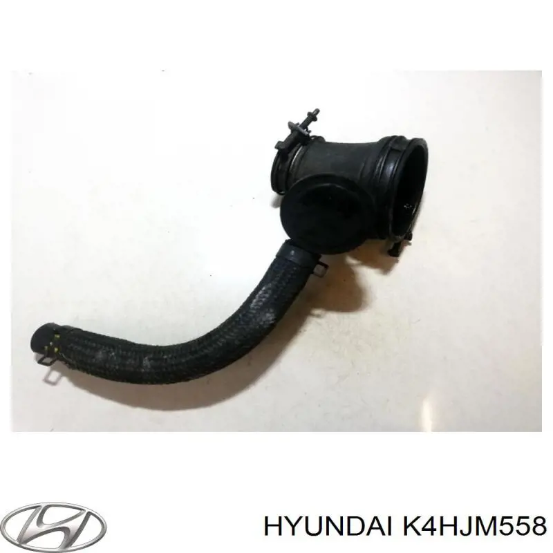 K4HJM558 Hyundai/Kia 