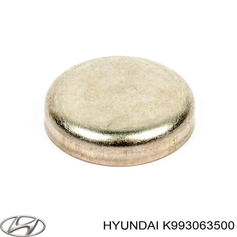 Заглушка ГБЦ K993063500 Hyundai/Kia