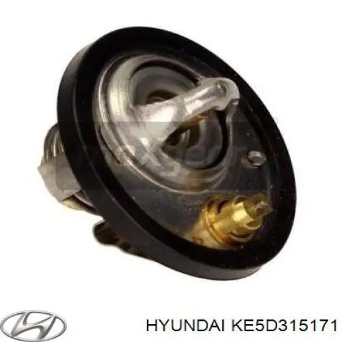 Термостат в корпусе Hyundai/Kia KE5D315171 цена, от 18.13 USD