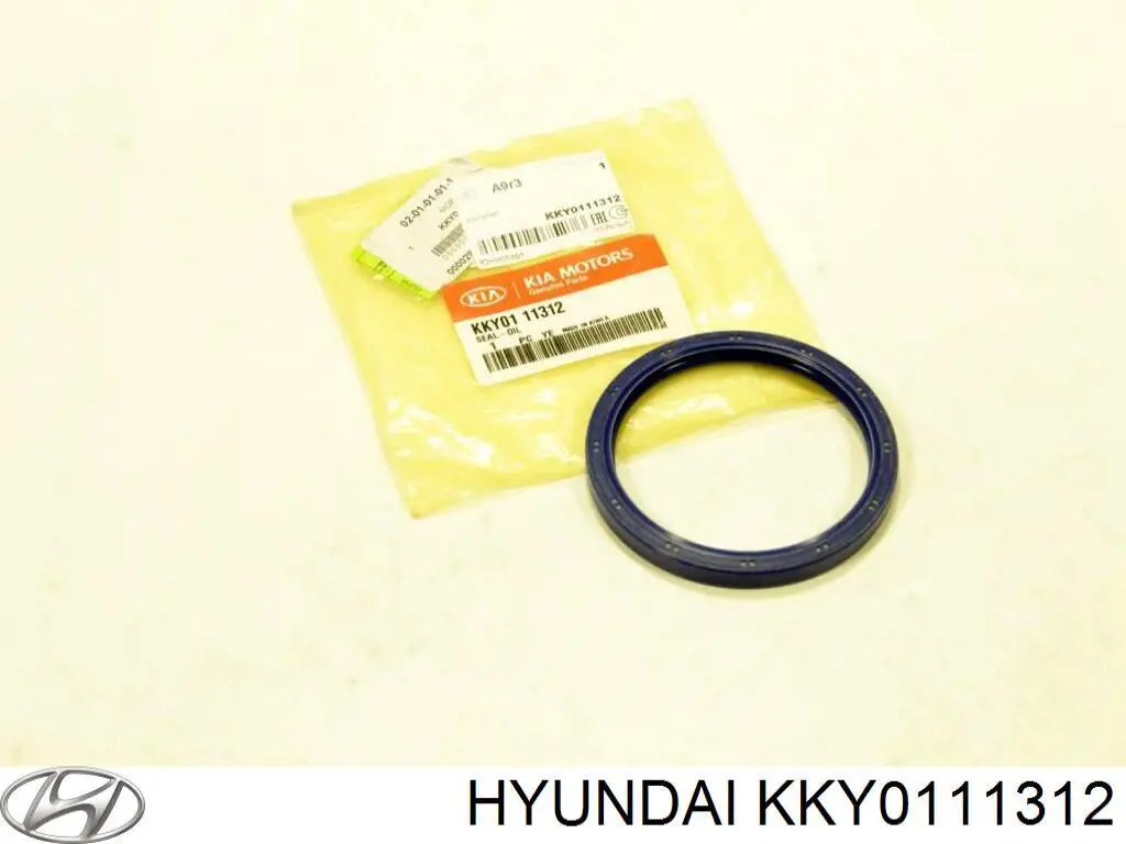  KKY0111312 Hyundai/Kia