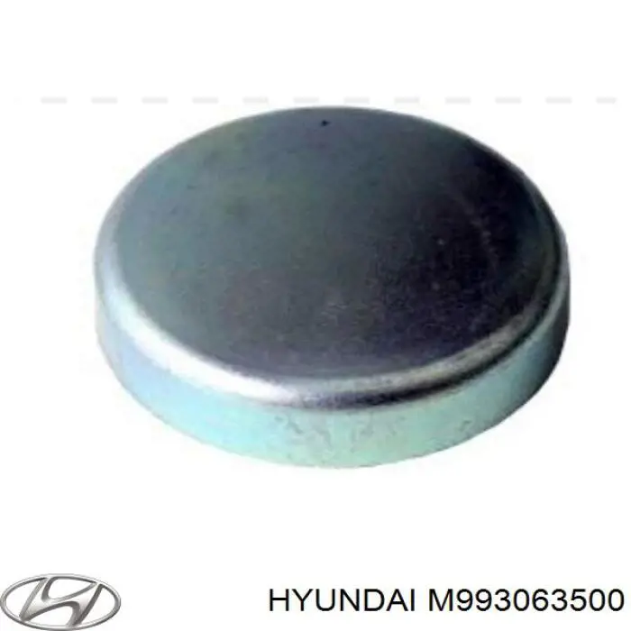 Заглушка ГБЦ M993063500 Hyundai/Kia