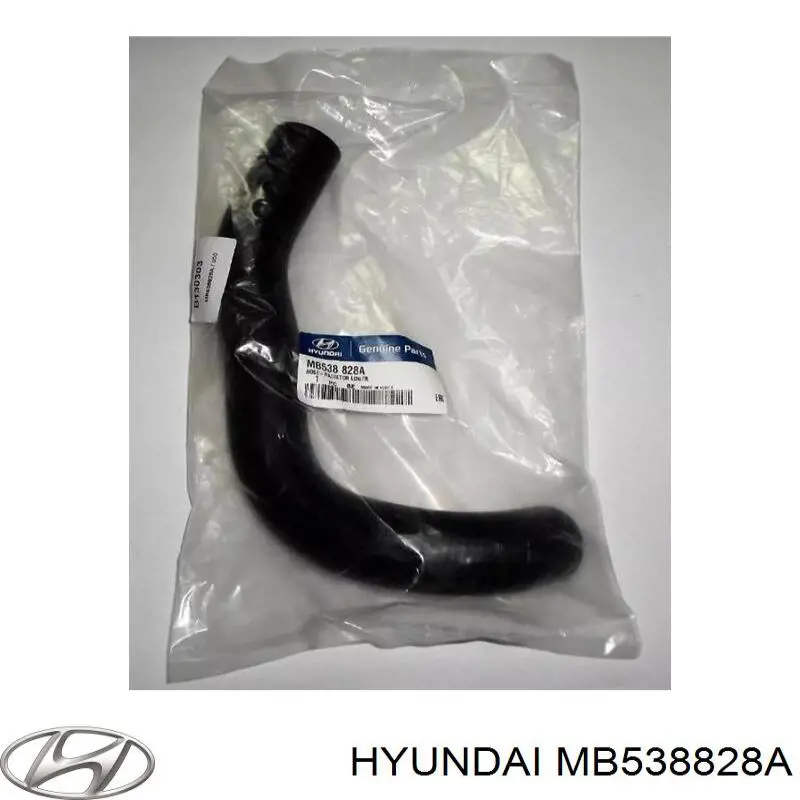 MB538-828A Hyundai/Kia mangueira (cano derivado inferior do radiador de esfriamento)