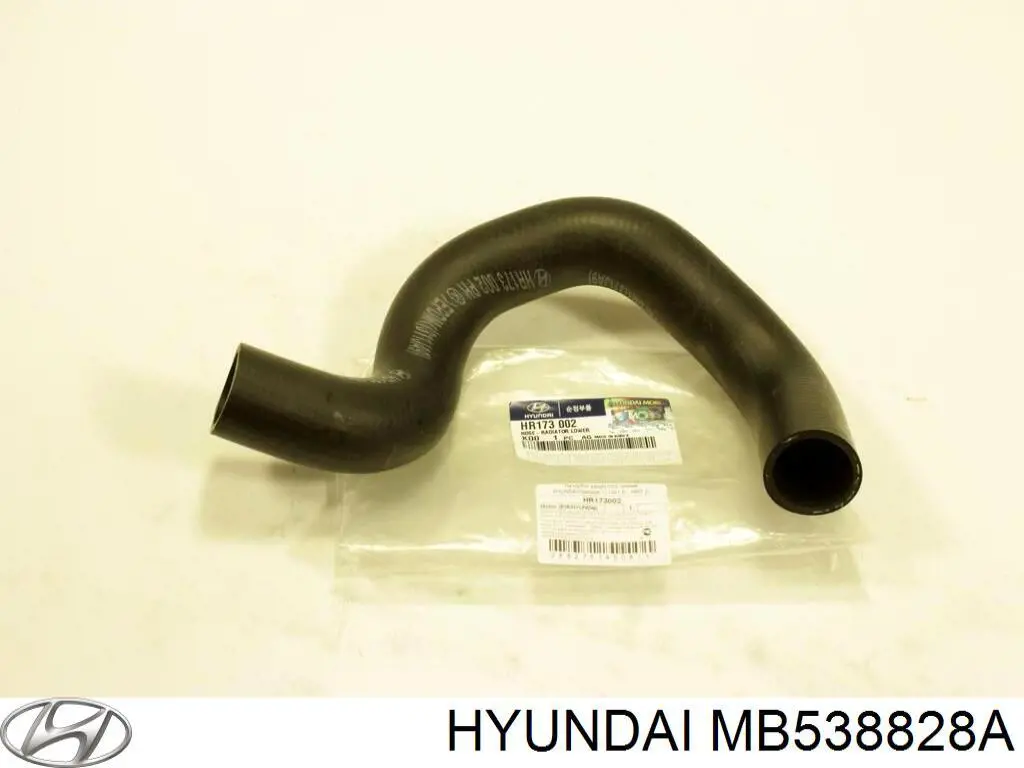 MB538828A HYUNDAI Manguera refrigerante para radiador inferiora original y equivalente