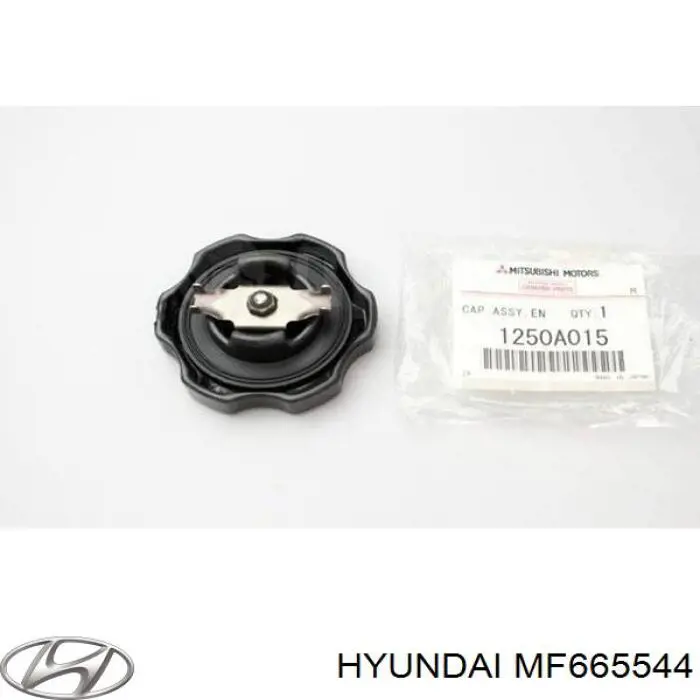 Купить MF665544 Mitsubishi Заглушка ГБЦ