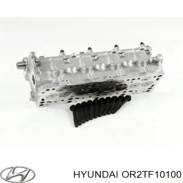 Головка блока цилиндров OR2TF10100 Hyundai/Kia