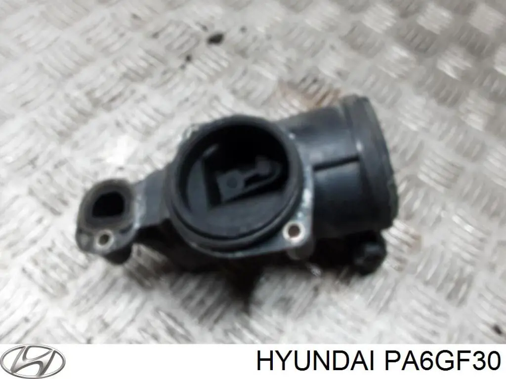  PA6GF30 Hyundai/Kia