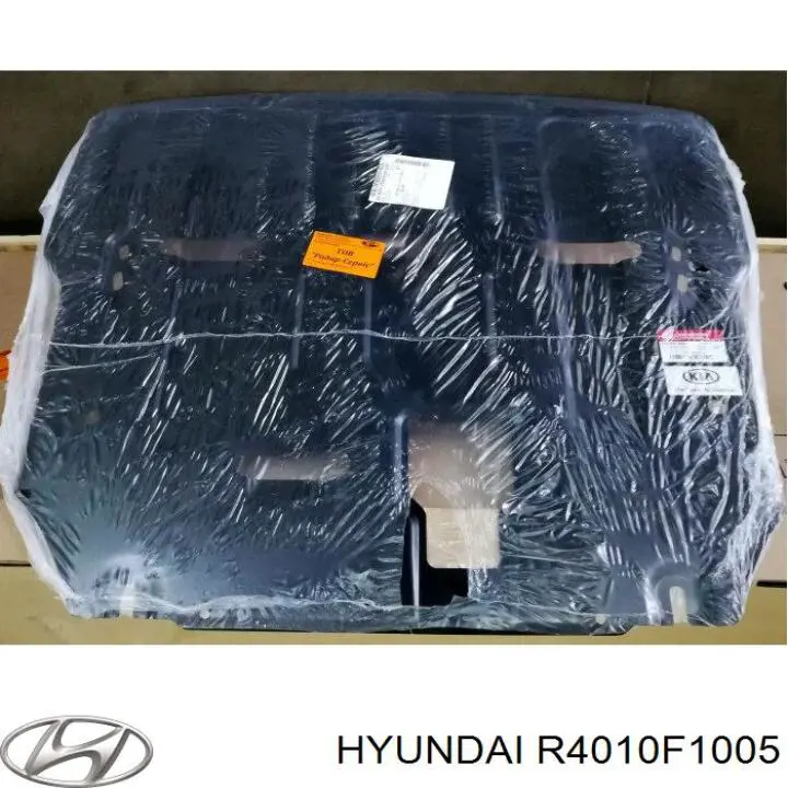  R4010F1005 Hyundai/Kia