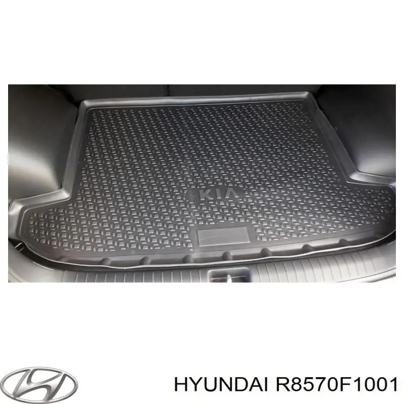  Hyundai/Kia R8570F1001 цена, от 12.93 USD