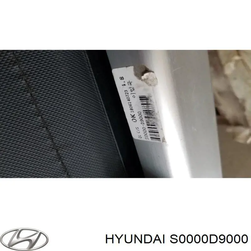 S0000D9000 Hyundai/Kia 