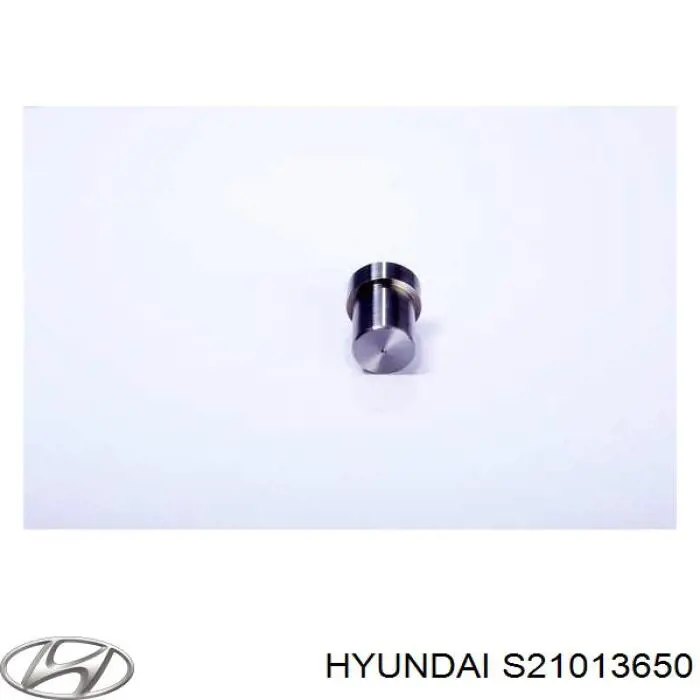 Распылитель форсунки S21013650 Hyundai/Kia