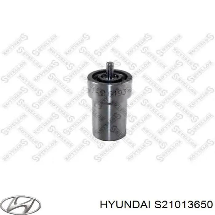 S21013650 Hyundai/Kia Распылитель форсунки