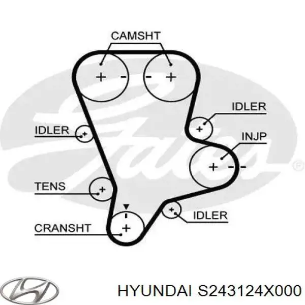 Ремень ГРМ S243124X000 Hyundai/Kia