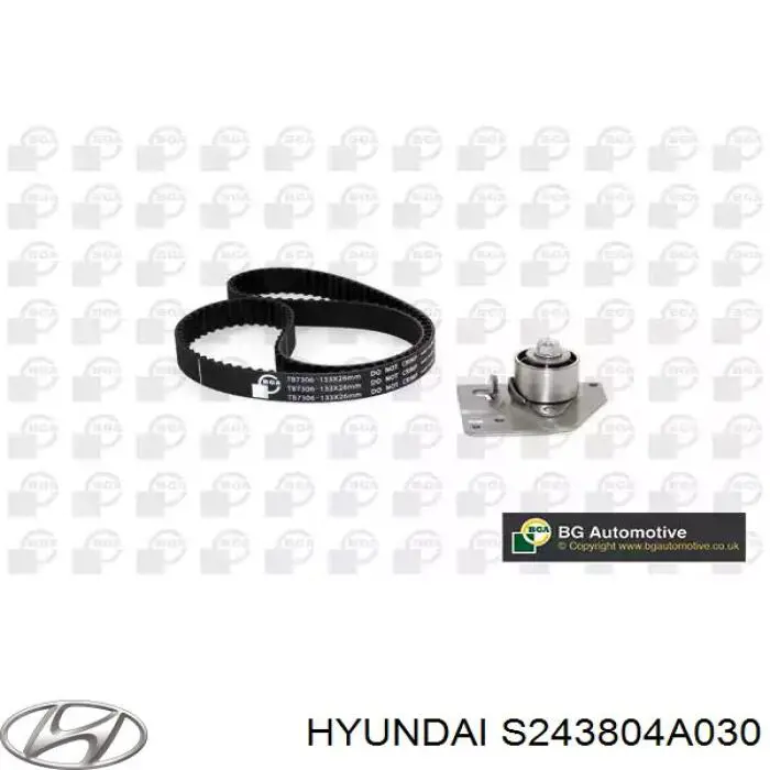 Купить S243804A030 Hyundai/Kia Натяжитель цепи ГРМ
