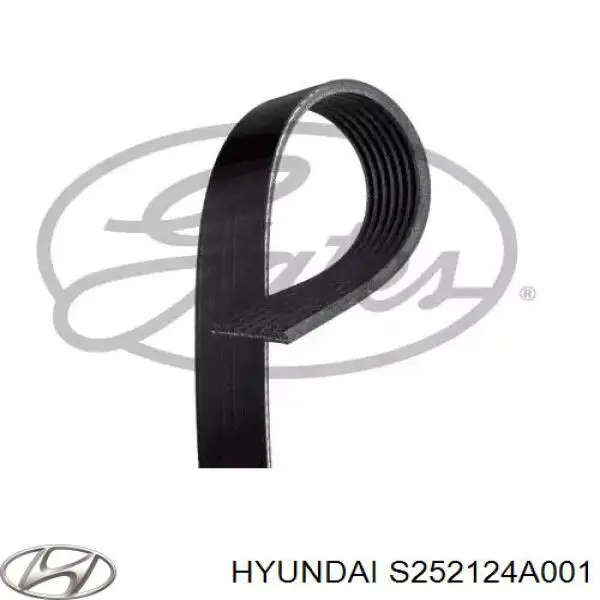 s252124a001 Hyundai/Kia ремень генератора