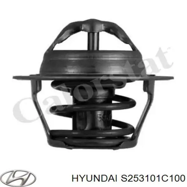 Радиатор охлаждения двигателя Hyundai/Kia S253101C100 цена, от 65.48 USD