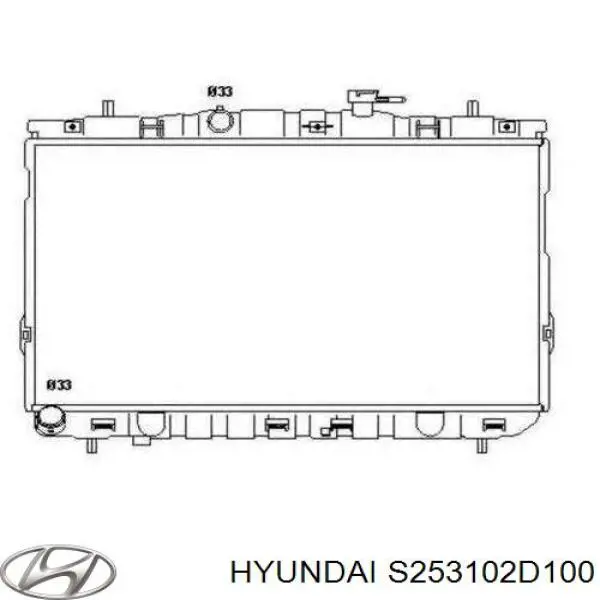S253102D100 Hyundai/Kia радиатор