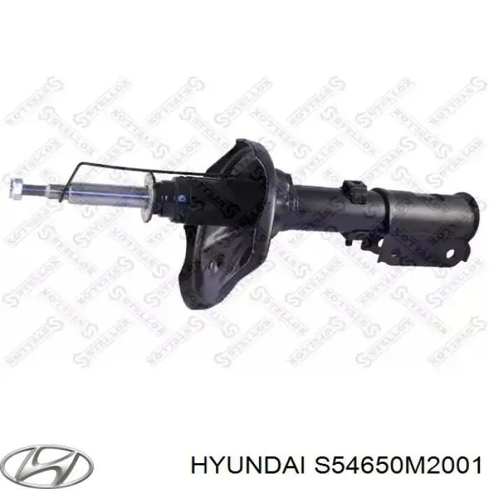 S54650M2001 Hyundai/Kia амортизатор передний