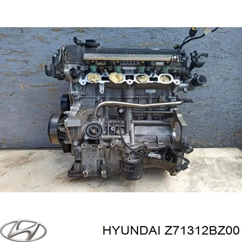 Z71312BZ00 Hyundai/Kia motor montado