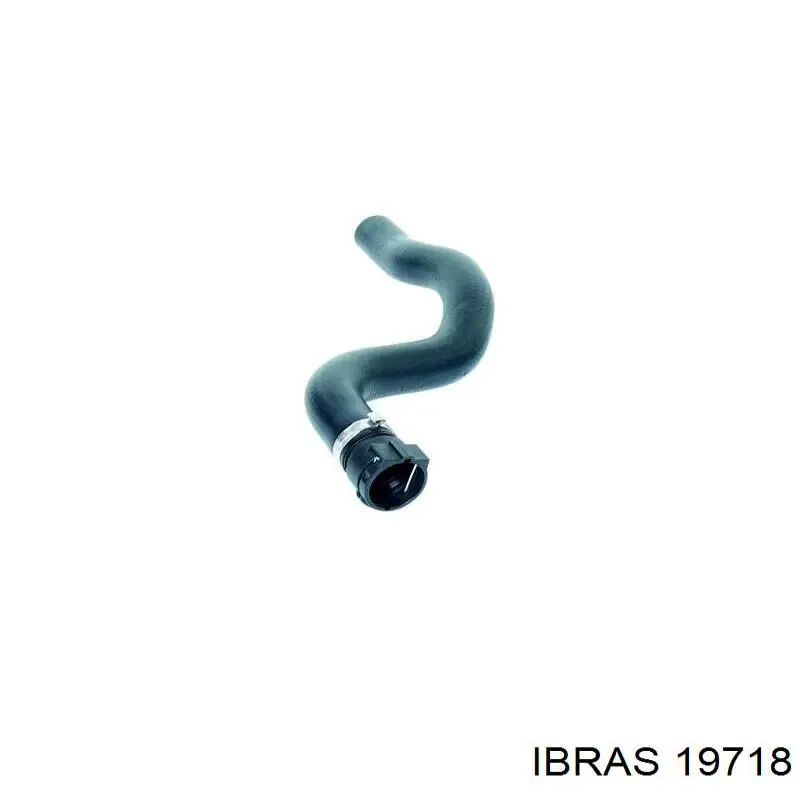  19718 Ibras