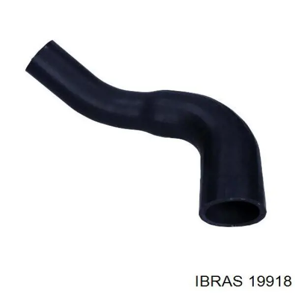 19918 Ibras
