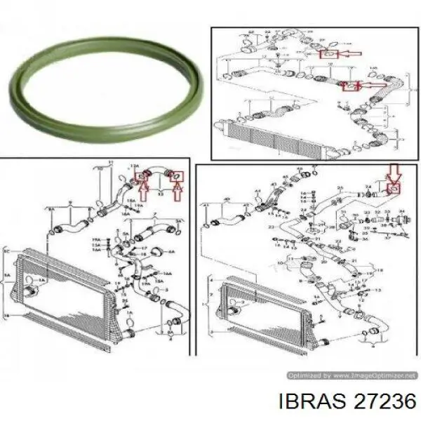 Уплотнительное кольцо (прокладка) патрубка интеркуллера 27236 Ibras