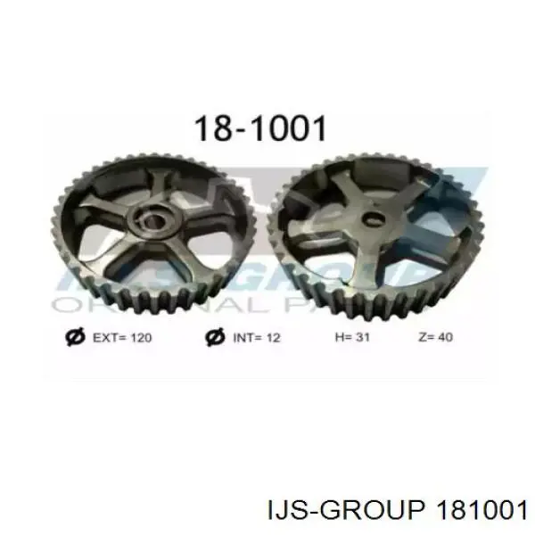181001 IJS Group engrenagem de cadeia da roda dentada da árvore distribuidora de motor