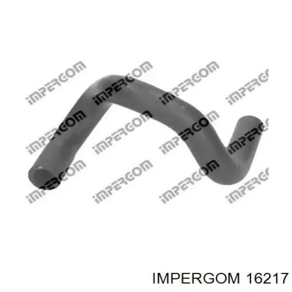 16217 Impergom Шланг (патрубок) водяного насоса приемный