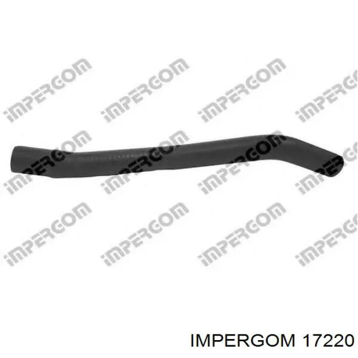 DWF298TT Thermotec 