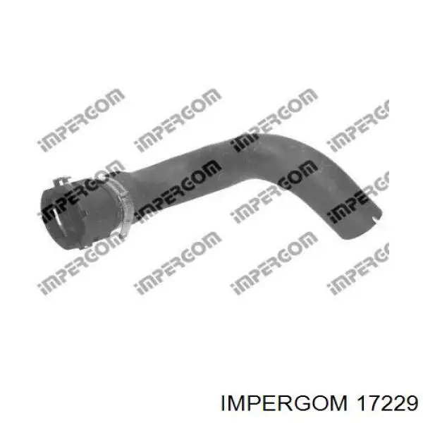 17229 Impergom 