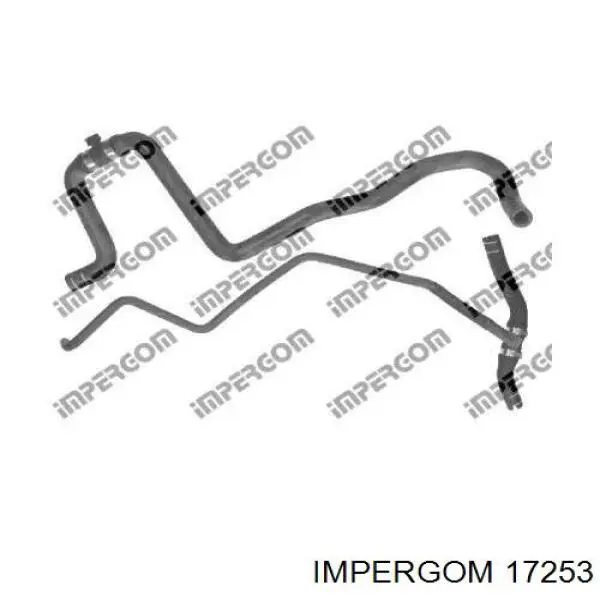 Патрубок системи охолодження 17253 Impergom