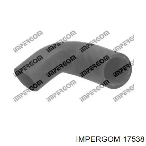 17538 Impergom mangueira (cano derivado direita de intercooler)