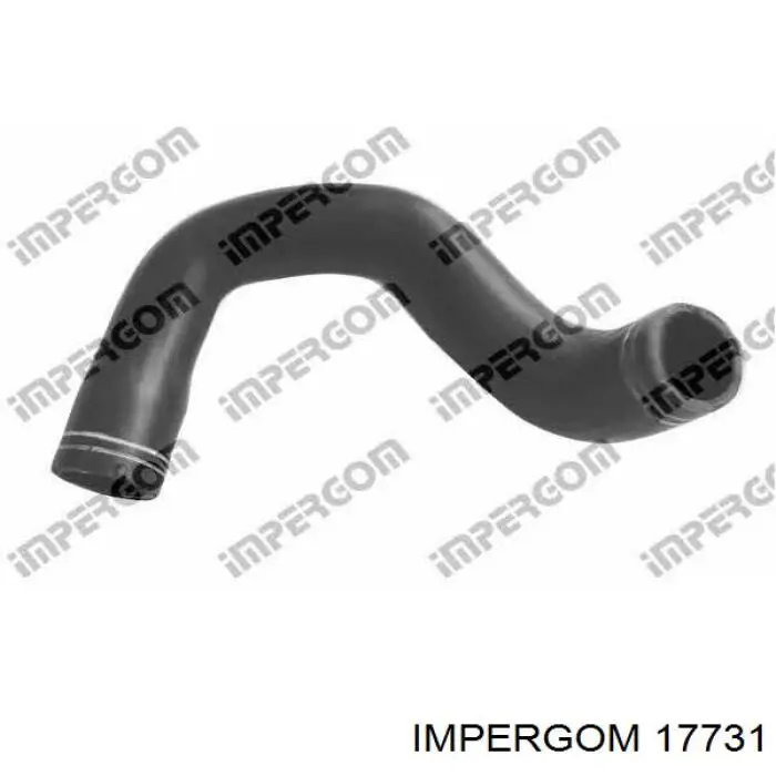 Tubo flexible de aspiración, salida del filtro de aire 17731 Impergom