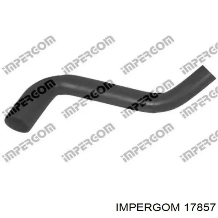 17857 Impergom Шланг для удаления воздуха