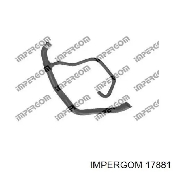 Шланг расширительного бачка нижний 17881 Impergom