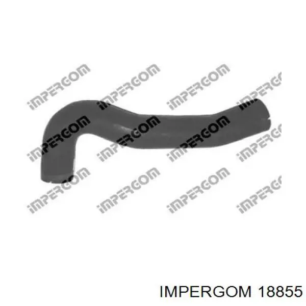 18855 Impergom 