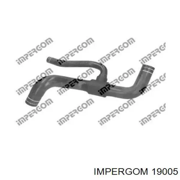  19005 Impergom