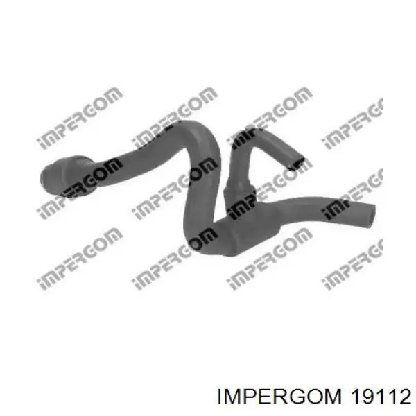 19112 Impergom 
