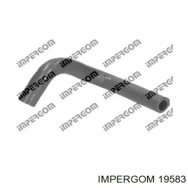  19583 Impergom