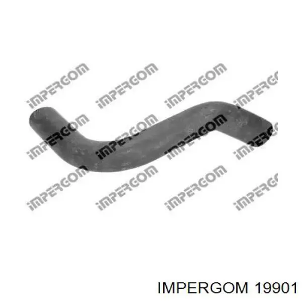  19901 Impergom