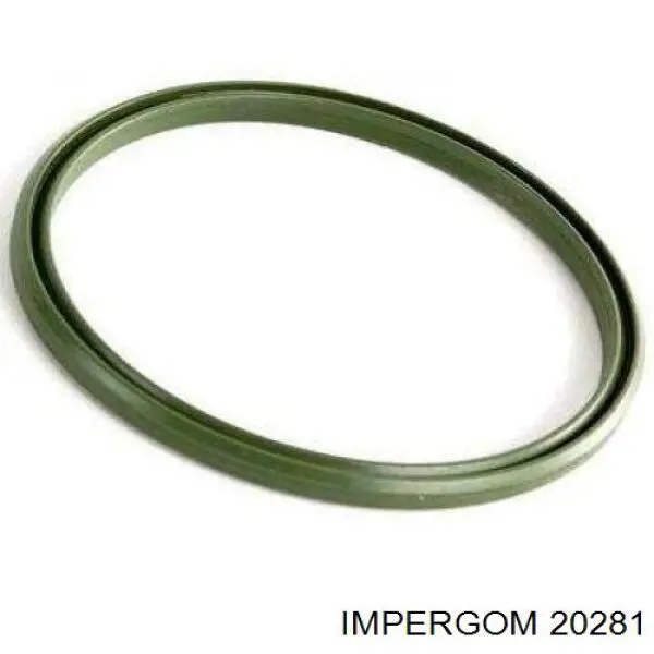 20281 Impergom anel de vedação (vedante de cano derivado de intercooler)