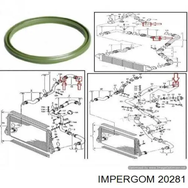Junta tórica para tubo intercooler 20281 Impergom
