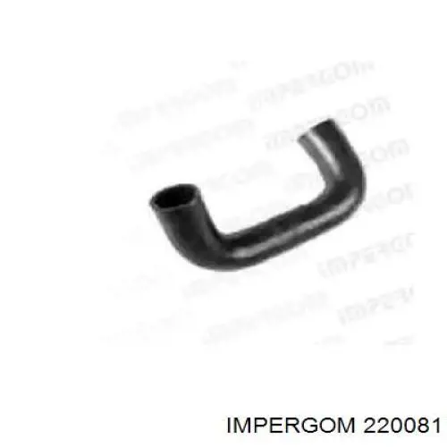  220081 Impergom