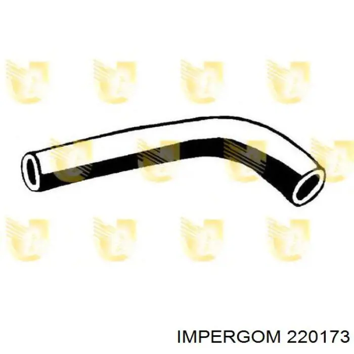 220173 Impergom Шланг (патрубок) водяного насоса нагнетательный