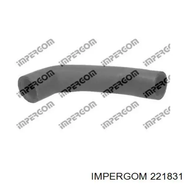 221831 Impergom mangueira (cano derivado de intercooler)